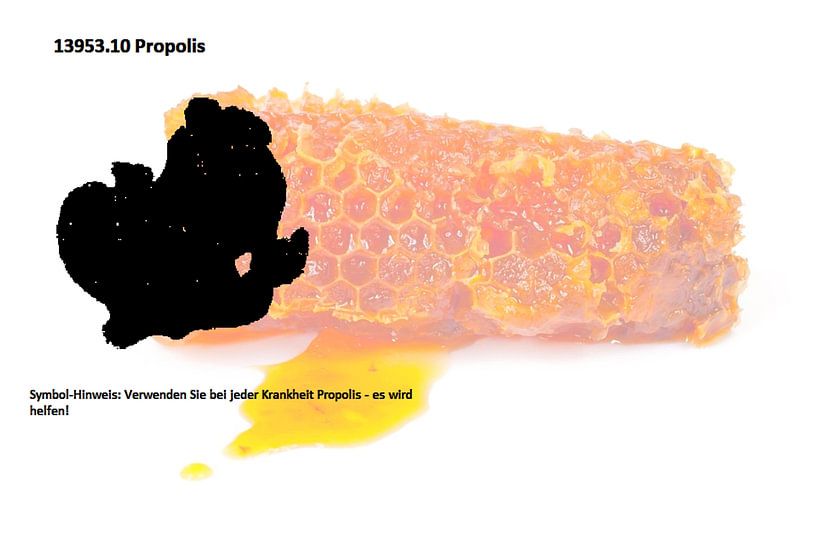 Propolis 13953.10 von Vladimir Zykunov