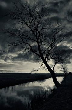 Tussen meer en bos (1) by Remco de Vries