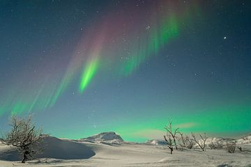 Northern lights at full moon by Arina Kraaijeveld