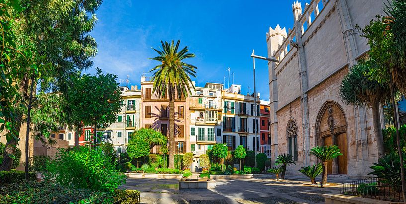 Gezicht op de oude stad in Palma de Mallorca, Spanje, Balearen van Alex Winter