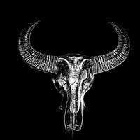 skull b/w