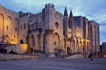 Pauselijk paleis Avignon van Patrick Lohmüller