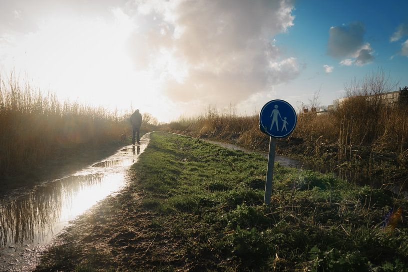 Spaziergang durch den Polder von Paul Poot