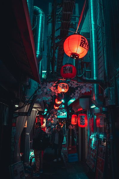 Lanternes dans une rue de Shinjuku par Mickéle Godderis