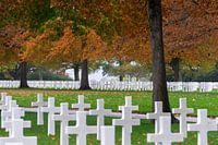Margraten American Cemetery " der Rest ".