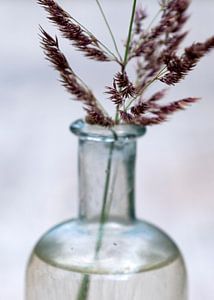 Grasblüte in Medizinflasche