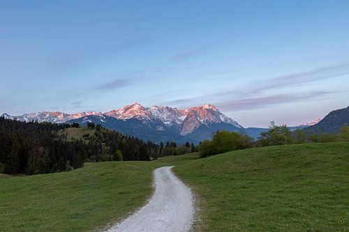 Ochtendwandeling