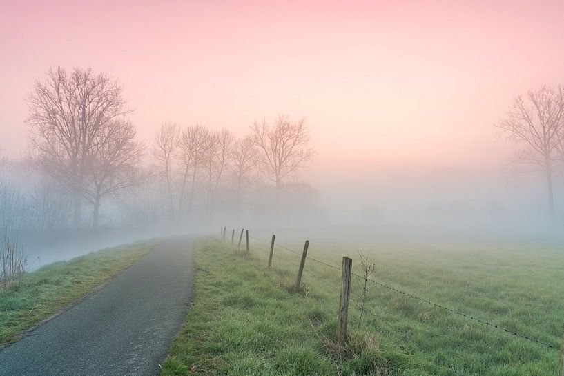 ijzige ochtend met mist die opstijgt langs een rivier van Marcel Derweduwen