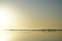 Walking on the mudflats to Ameland 1.0