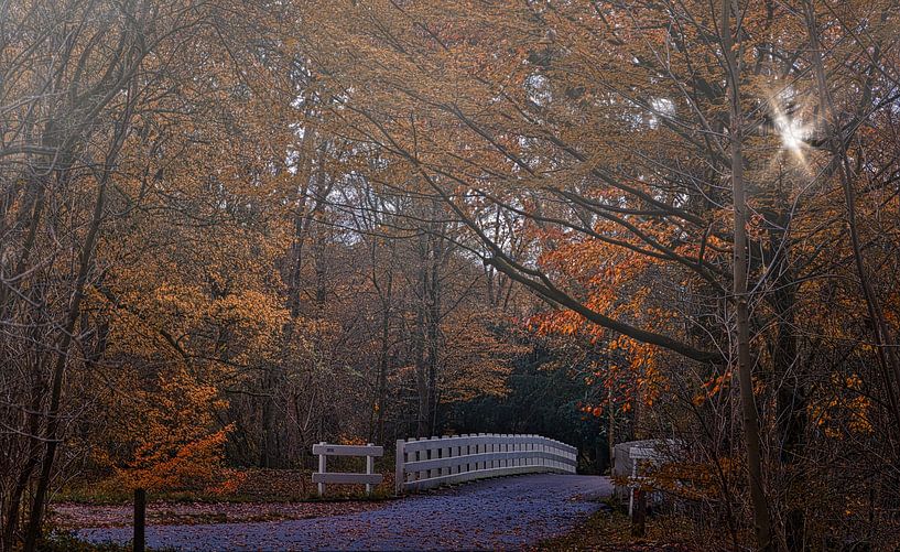 Bridge among autumn colours by peterheinspictures