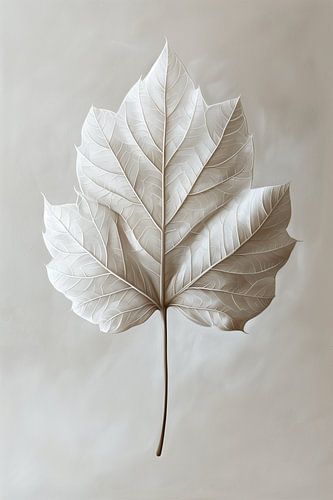 Sereen blad - Japandi stijl - 5 - wit