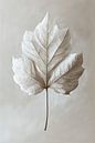 Serene leaf - Japandi style - 5 - white by Marianne Ottemann - OTTI thumbnail
