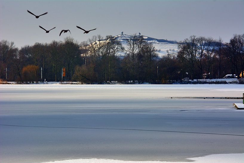 gelé par Edgar Schermaul