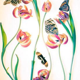 tulpen en vlinders van marry van der Geest