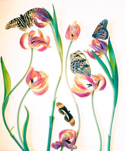 tulips and butterflies by marry van der Geest