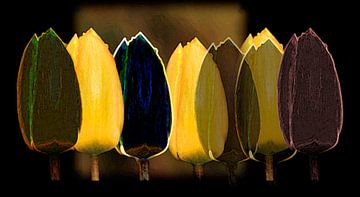 Gele en zwarte tulpen van ArtelierGerdah