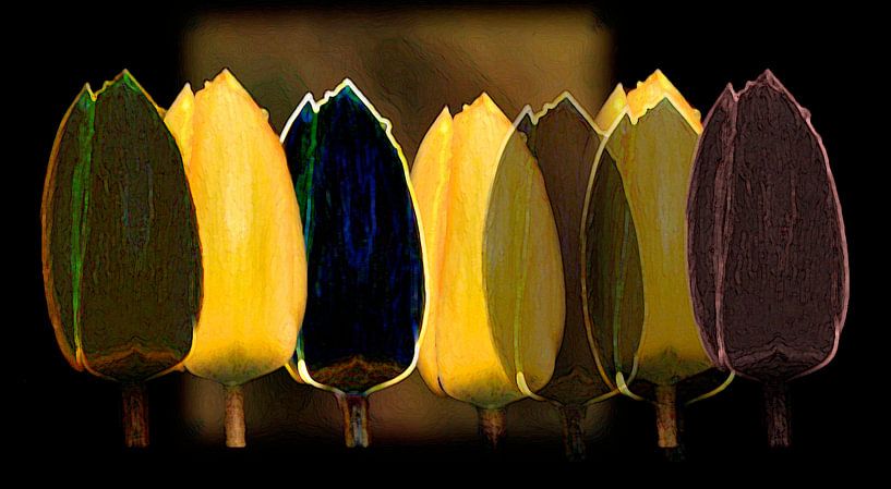 Gele en zwarte tulpen von ArtelierGerdah