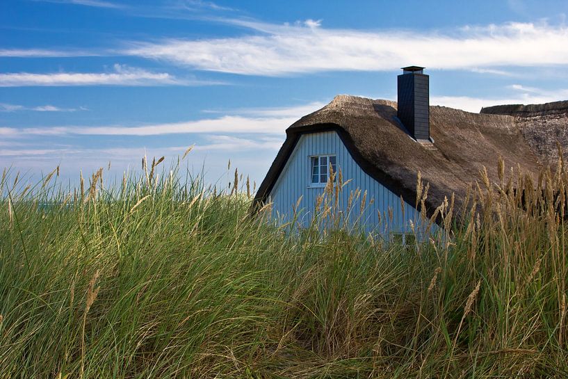 Haus in den Dünen in Ahrenshoop von Anja B. Schäfer