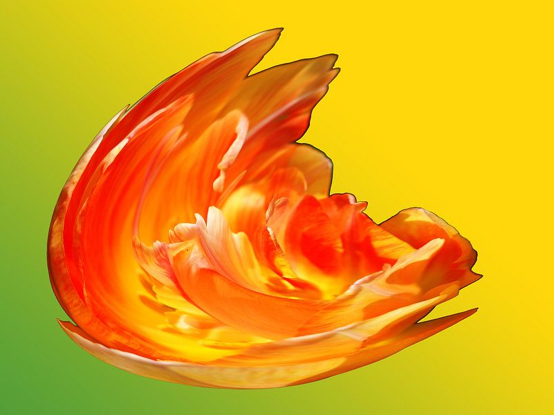 Vuur explosie van geel en oranje van Alice Berkien-van Mil