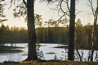 Voyage d'Urho Kekkonen