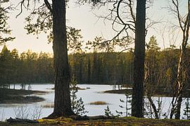 Voyage d'Urho Kekkonen sur JNphotography