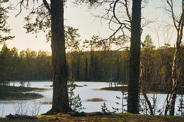 Reise von Urho Kekkonen