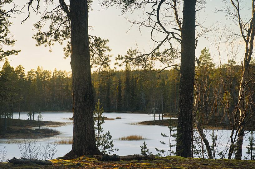 Journey by Urho Kekkonen by JNphotography