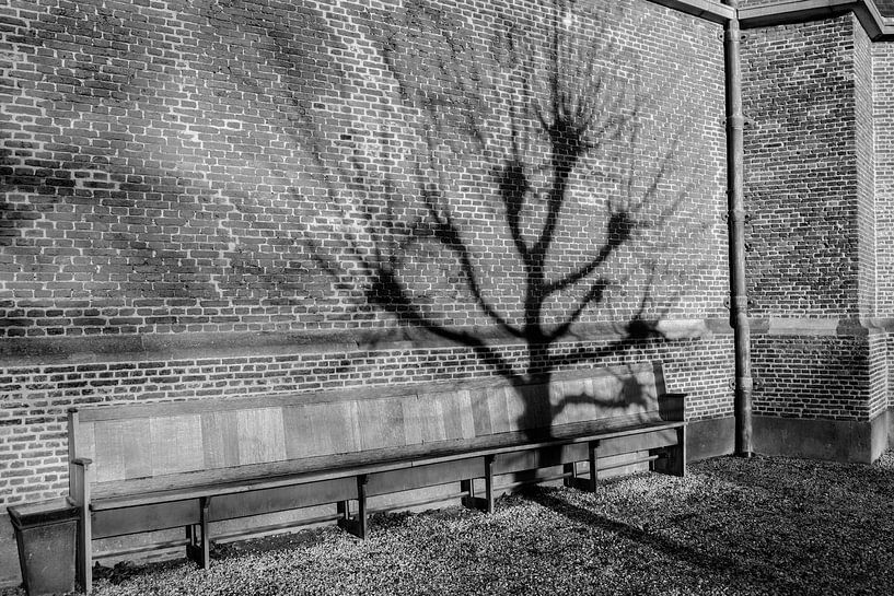 Même un arbre a besoin de se reposer parfois. par Pieter van Roijen