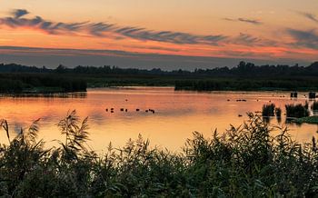 Zonsondergang Onlanden