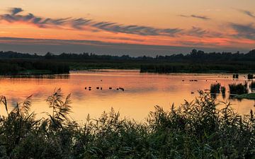 Zonsondergang Onlanden van Marga Vroom