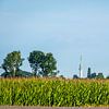 TV toren boven het mais van Marjan Noteboom