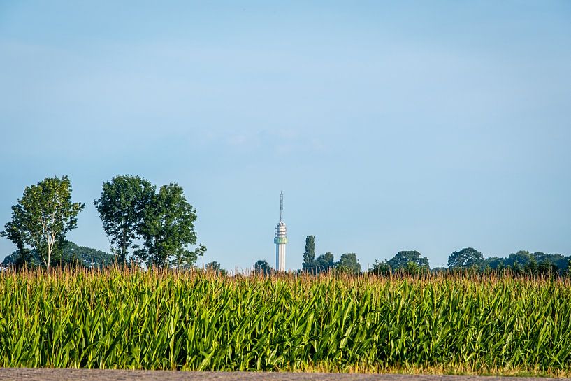 TV tower above the corn by BeeldWoord