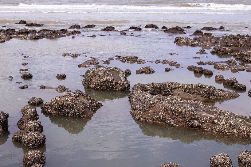 Sea with rocks s'-Gravenzande by Martijn Aalbers