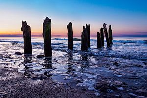 Buhnen an der Küste der Ostsee bei Kühlungsborn