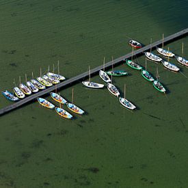 Seerosenflöße am Steg. von Sky Pictures Fotografie