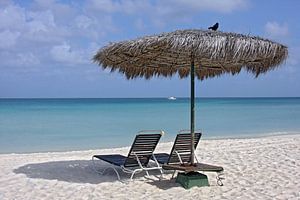 eagle beach, aruba