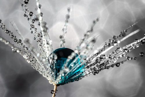 Der blaue Tropfen
