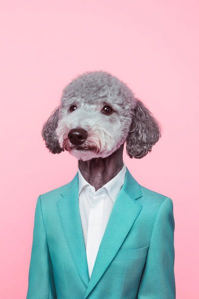 Bedlington Terrier van Poster Art Shop