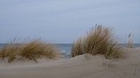 Baltic Sea beach in March by Ostsee Bilder thumbnail