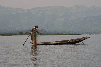 Visser Myanmar