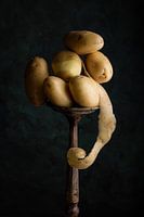 Aardappel kunst, nieuwe oogst