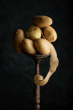 Aardappel kunst, nieuwe oogst van Clazien Boot