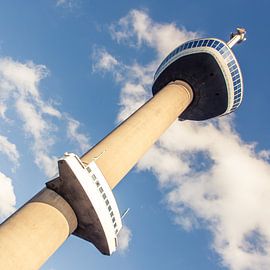 Euromast by Sonia Alhambra Mosquera