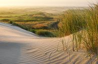 Terschelling op zijn mooist! van Dirk van Egmond thumbnail