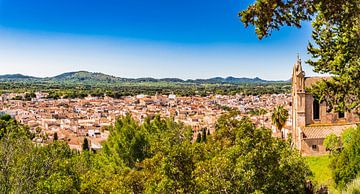 Prachtig panoramisch uitzicht op de oude mediterrane stad Arta van Alex Winter