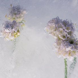 Grasanjers in ijs 2 van Marc Heiligenstein