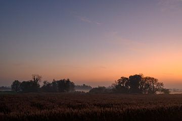 Zonsopgang over de IJssel tijdens een mooie herfstochtend van Sjoerd van der Wal Fotografie