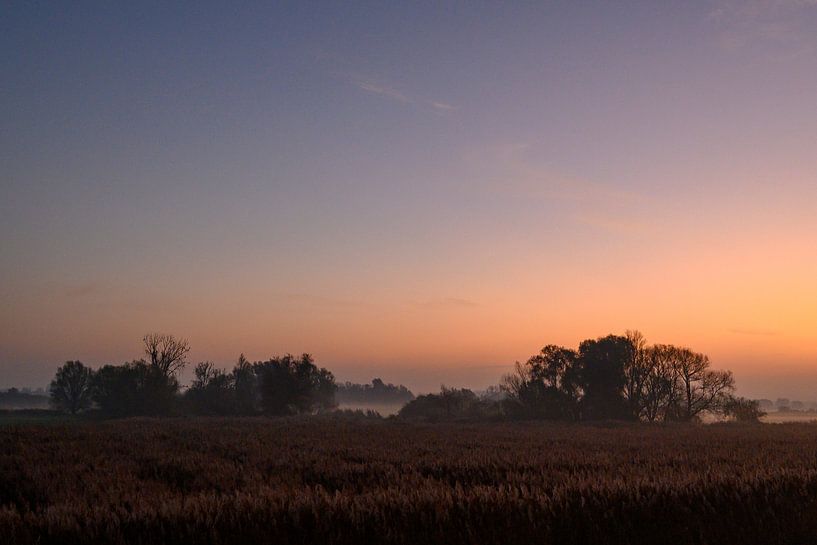 Sonnenaufgang über dem Fluss IJssel an einem schönen Herbstmorgen von Sjoerd van der Wal Fotografie