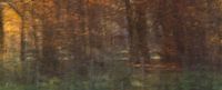 Herfstbos burst