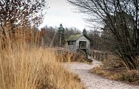 Cabine à la campagne......
